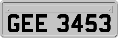 GEE3453