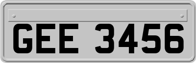 GEE3456