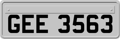 GEE3563