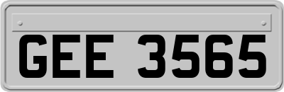 GEE3565