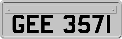 GEE3571