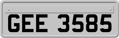 GEE3585