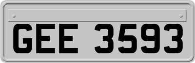 GEE3593