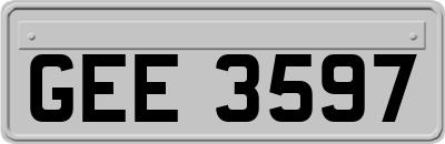 GEE3597