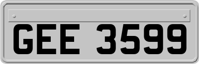 GEE3599