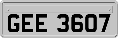 GEE3607