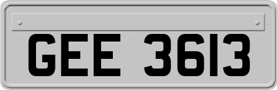 GEE3613