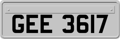 GEE3617