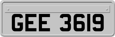 GEE3619