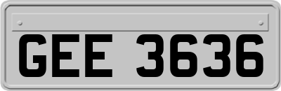 GEE3636