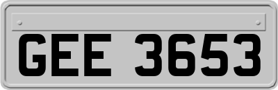 GEE3653