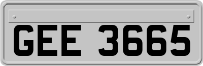 GEE3665