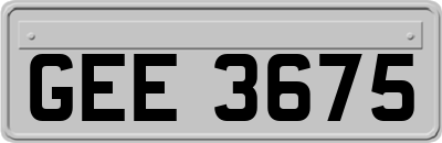 GEE3675