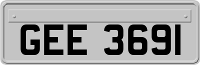 GEE3691
