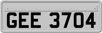 GEE3704