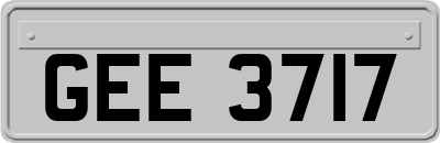 GEE3717