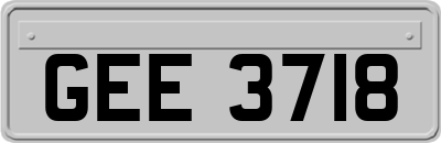 GEE3718