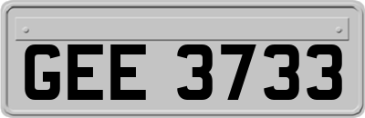 GEE3733