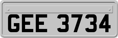 GEE3734