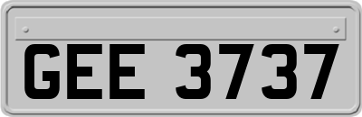 GEE3737