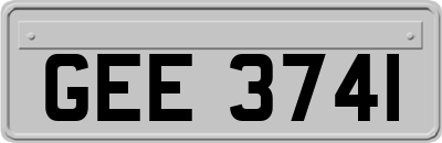 GEE3741