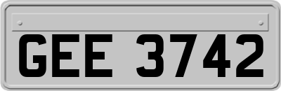 GEE3742