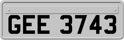 GEE3743