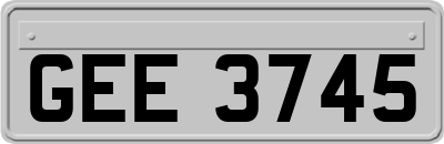 GEE3745
