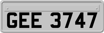 GEE3747