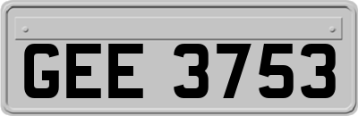 GEE3753