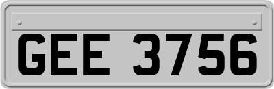 GEE3756