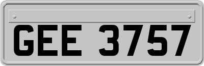 GEE3757