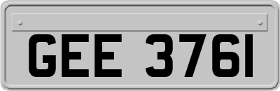 GEE3761