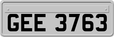 GEE3763
