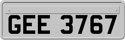 GEE3767