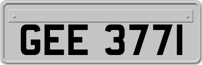 GEE3771