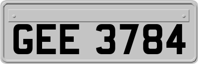GEE3784
