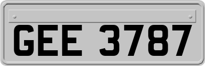 GEE3787