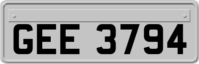 GEE3794