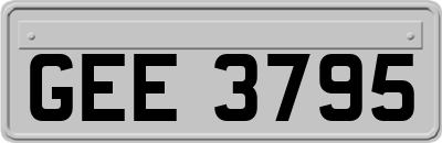 GEE3795