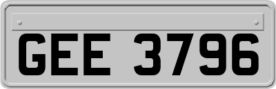 GEE3796