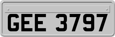 GEE3797