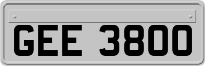 GEE3800