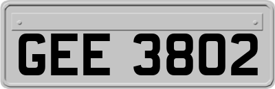 GEE3802