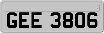 GEE3806