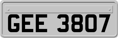 GEE3807