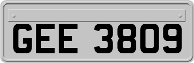 GEE3809