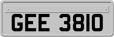 GEE3810