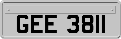 GEE3811