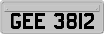 GEE3812